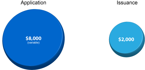 Pie chart showing $8,000 in application stage, $2,000 in issuance stage