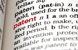 patent term in dictionary